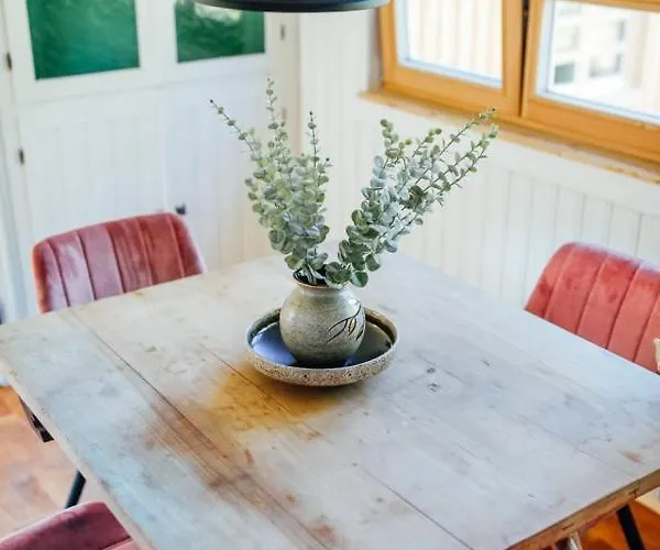 Aussee- Hallsatt Salzherrenhof- Kueche, Wlan, Netflix باد اوسي